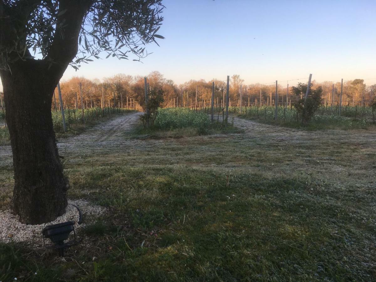 Gîte Les Vignes Cravenceres Extérieur photo